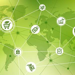 Sürdürülebilir Tedarik Zinciri Danışmanlığı