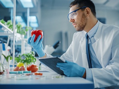 ISO 22000 Gıda Güvenliği Yönetim Sistemi