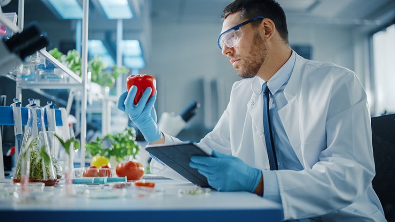 ISO 22000 Gıda Güvenliği Yönetim Sistemi